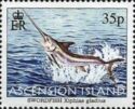Swordfish (Xiphias gladius)