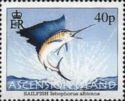 Sailfish (Istiophorus albicans)