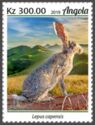 Cape Hare (Lepus capensis)