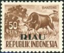 Banteng (Bos javanicus)