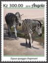 Chapman's Zebra (Equus quagga chapmani)