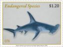 Great Hammerhead Shark (Sphyrna mokarran)
