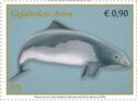 Common Porpoise (Phocoena phocoena)