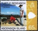 Turtle Research and Conservation