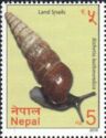Rishetia kathmandica