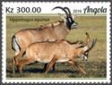 Roan Antelope (Hippotragus equinus)
