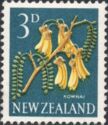 Kowhai (Sophora microphylla)