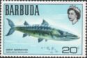 Great Barracuda (Sphyraena barracuda)