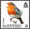 Robin (Erithacus rubecula)