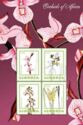 Orchids of Africa