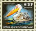 Great White Pelican (Pelecanus onocrotalus)