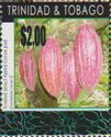 Trinidad select hybrid cocoa pods surcharged