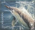 Short-Beaked Common Dolphin (Delphinus delphis)