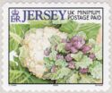 Cauliflower and Purple-sprouting Broccoli (2005)