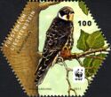 European Hobby (Falco subbuteo)