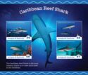 Caribbean Reef Shark (Carcharhinus perezi)