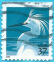 Snowy Egret (Egretta thula)