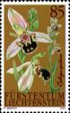 Bee Orchid (Ophrys apifera)