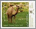 Arabian camel (Camelus dromedarius)