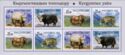 Yaks of Kyrgyzstan