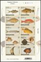 William Farquhar Collection (Fishes)