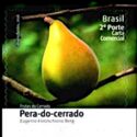 Pero-do-cerrado (Eugenia klotzschiana)