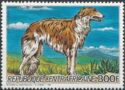 Borzoi