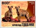 Spotted Hyena (Crocuta crocuta)
