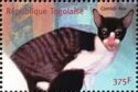 Cornish Rex