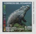 Marine Iguana - Amblyrhynchus cristatus