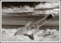 Message In A Bottle (black And White)