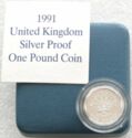 1 Pound (Flax Plant of Northern Ireland - Silver)