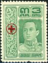 King Vajiravudh - Red Cross Overprint
