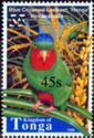 Blue-crowned Lorikeet (Vini australis)