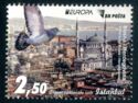 View of Istanbul and Pigeon