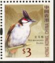 Red Whiskered Bulbul (Pycnonotus jocosus)
