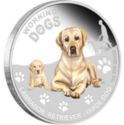 1 Dollar (Labrador Retriever- Guide Dog)