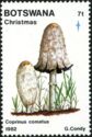 Shaggy Mane (Coprinus comatus)
