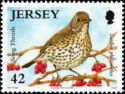 Song Thrush (Turdus philomelos)