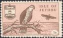 Birds of Jethou - Sparrow Hawk