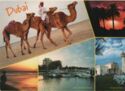Dubai – Views of Dubai