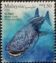 Whale Shark (Rhincodon typus)