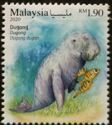 Dugong (Dugong dugong)
