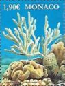 Oceanographic Museum of Monaco : Corals
