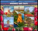 Windmills and Tulips