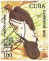 Expo - ARGENTINA '85: Andean condor (Vultur gryphus)