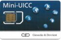 Mini-UICC