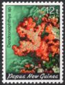 Carnation Tree Coral (Dendronephthya sp.)