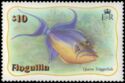 Queen Triggerfish (Balistes vetula)
