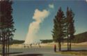 Old Faithful, Yellowstone National Park